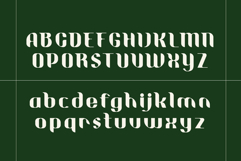 Willie Vintage Display Font Product Image 3
