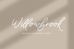 Willowbrook Script Product Image 1