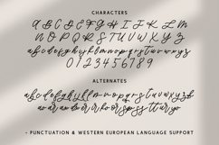 Willowbrook Script Product Image 10