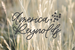 Willowbrook Script Product Image 2