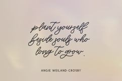 Willowbrook Script Product Image 3