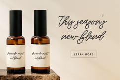 Willowbrook Script Product Image 5