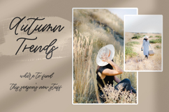 Willowbrook Script Product Image 6