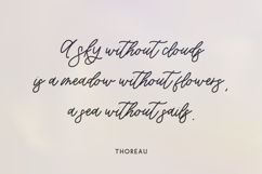 Willowbrook Script Product Image 8