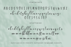 Willowish Script Product Image 10