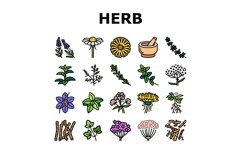Medical Herb Natural Ingredient Icons Set Vector Product Image 1