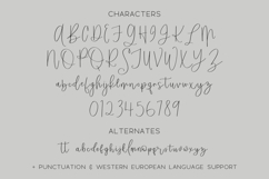 Windswept Heart Script Product Image 10