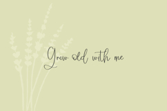 Windswept Heart Script Product Image 5