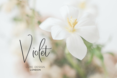 Windswept Heart Script Product Image 8