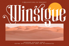 Winstgue - Modern Vintage Serif Product Image 1