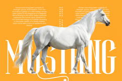 Winstgue - Modern Vintage Serif Product Image 2