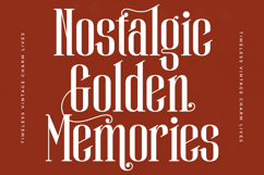 Winstgue - Modern Vintage Serif Product Image 3