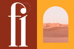 Winstgue - Modern Vintage Serif Product Image 5