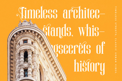 Winstgue - Modern Vintage Serif Product Image 6