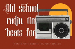 Winstgue - Modern Vintage Serif Product Image 9