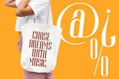 Winstgue - Modern Vintage Serif Product Image 10