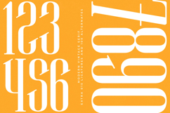 Winstgue - Modern Vintage Serif Product Image 14