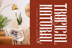 Winstgue - Modern Vintage Serif Product Image 15