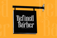 Winstgue - Modern Vintage Serif Product Image 16