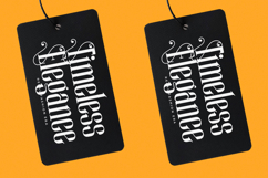 Winstgue - Modern Vintage Serif Product Image 17