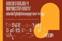 Winstgue - Modern Vintage Serif Product Image 18