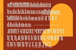 Winstgue - Modern Vintage Serif Product Image 19