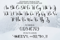 Winter Amsterdam Product Image 6