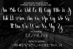 Winter Beautiful Product Image 7