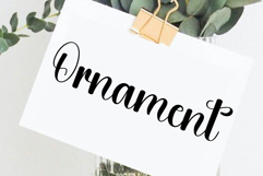 Winter Beautiful Product Image 3