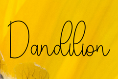 Winter Beauty Product Image 5