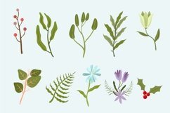 Winter botanicals collection