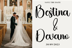 Winter Butterfly Product Image 8