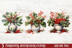 Winter Christmas Greenery Clipart, Christmas Greenery Clipar Product Image 1