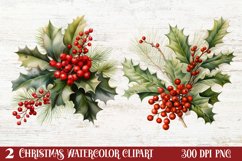 Winter Christmas Greenery Clipart, Christmas Greenery Clipar Product Image 1