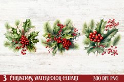 Winter Christmas Greenery Clipart, Christmas Greenery Clipar Product Image 1