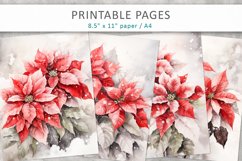 Christmas poinsettia watercolor Illustrations Product Image 1