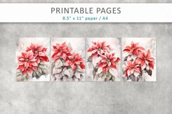 Christmas poinsettia watercolor Illustrations Product Image 2