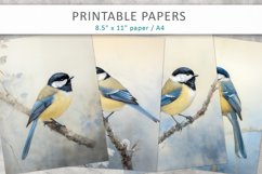 Vintage Bird Junk Journal, Digital Papers Product Image 1