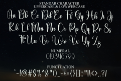 Winter Christmas Product Image 7