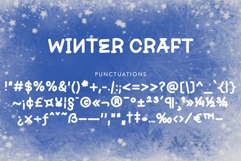 Winter Craft Product Image 4
