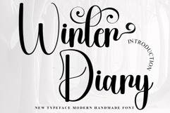 Winter Diary Product Image 1