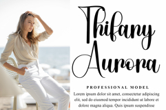 Winter Diary Product Image 8