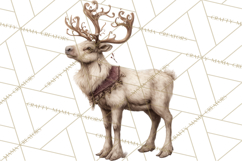Winter Wonderland Clipart, Holiday Animals Digital Art PNG Product Image 4