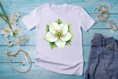 Winter Flower Clipart, Watercolor Winter Flowers, Icy White Blooms, Blue Winter Florals, Snowdrop Watercolor Art, Hellebore Flower Clipart, Camellia Winter Illustration, Crocus Watercolor Bloom, Anemone Winter Clipart, Viburnum Flower Art, Jasmine Winter 