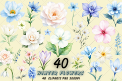 Winter Flower Clipart, Watercolor Winter Flowers, Icy White Blooms, Blue Winter Florals, Snowdrop Watercolor Art, Hellebore Flower Clipart, Camellia Winter Illustration, Crocus Watercolor Bloom, Anemone Winter Clipart, Viburnum Flower Art, Jasmine Winter 
