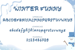 Winter Funny Product Image 5