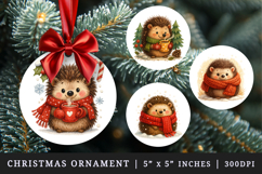 Winter round ornaments sublimation design Product Image 1