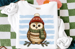 Winter Owl with Blue Stripes PNG, Cute Christmas Owl PNG Product Image 3