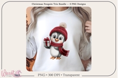 Holiday Penguin Trio PNG Bundle | 3 Sublimation Designs Product Image 7