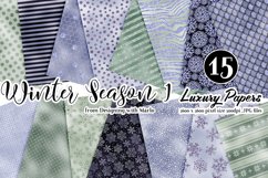 Winter Season One Luxury Glamour Pattern Digital Papers Product Image 1